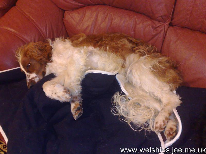 2010-11-20 04.jpg - What do you mean we're meant to lie on top?